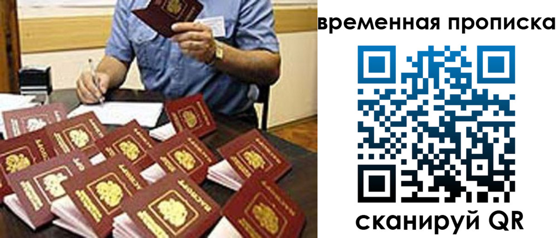 прописка для школы в Чкаловске