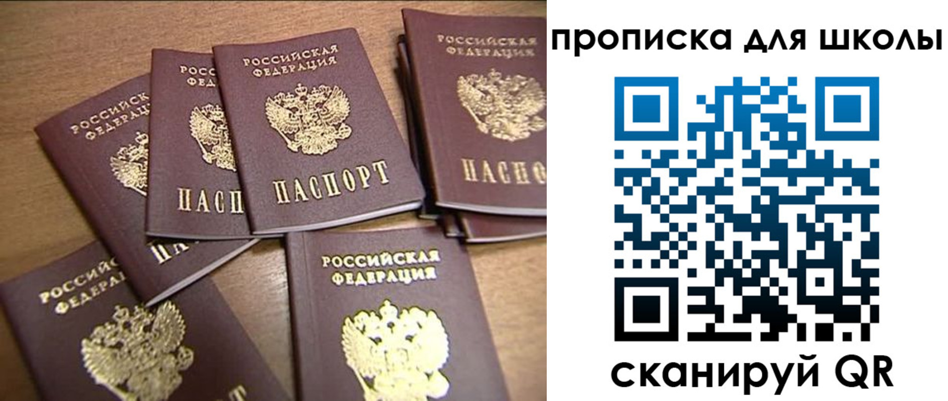 временная регистрация купить в Чкаловске